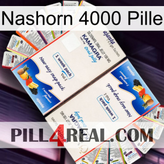 Rhino 4000 Pill kamagra1